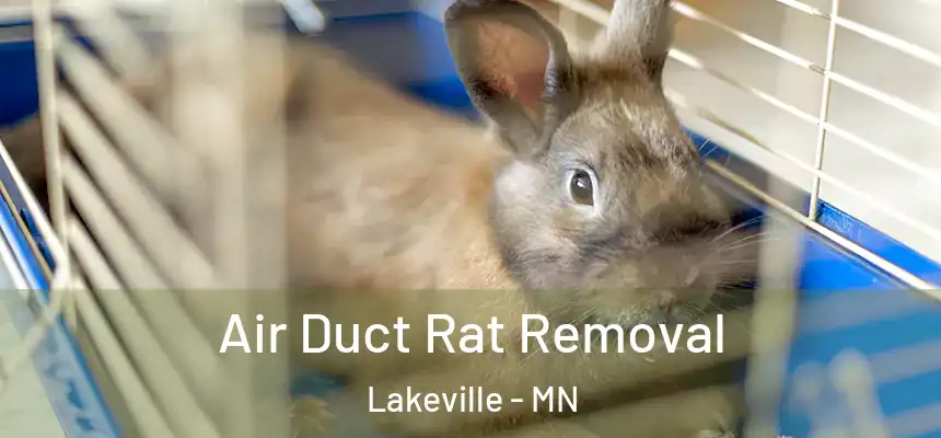  Air Duct Rat Removal Lakeville - MN