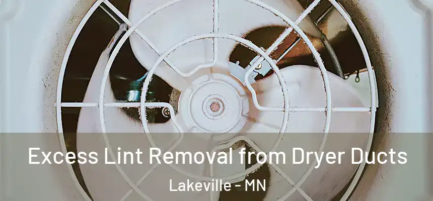 Excess Lint Removal from Dryer Ducts Lakeville - MN