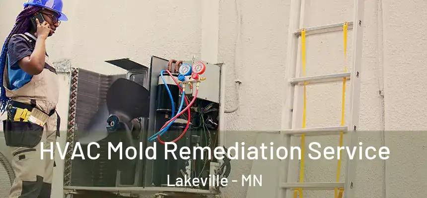 HVAC Mold Remediation Service Lakeville - MN
