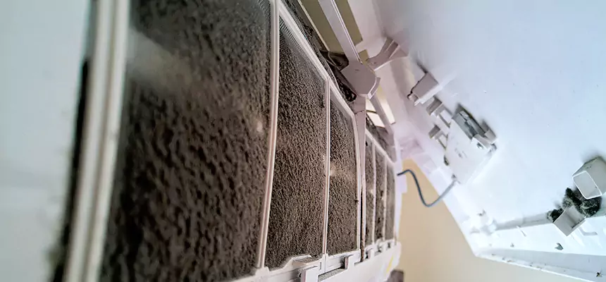 Preventive Air Duct Bacteria Removal in Lakeville