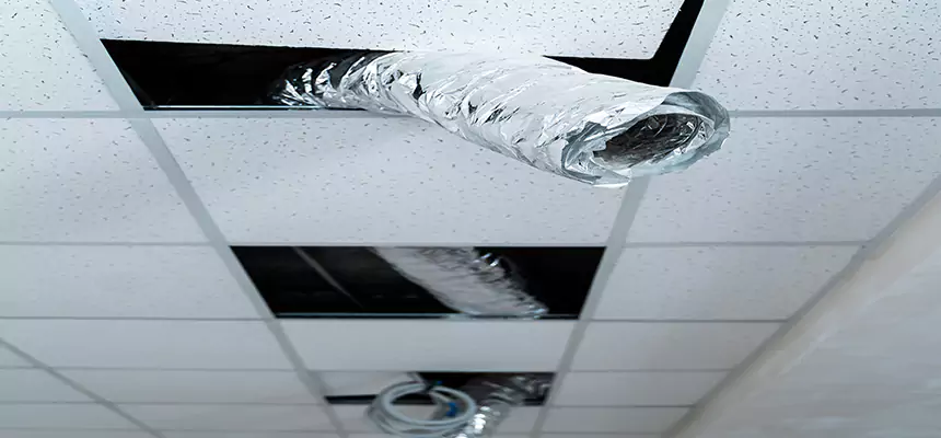 Affordable HVAC Sanitizing After Pest Removal in Lakeville