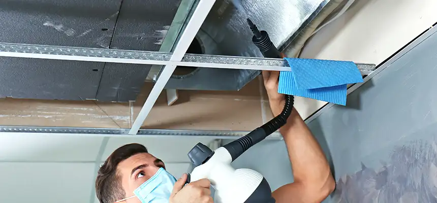 Our Air Duct Rodent Removal Services in Lakeville, MN