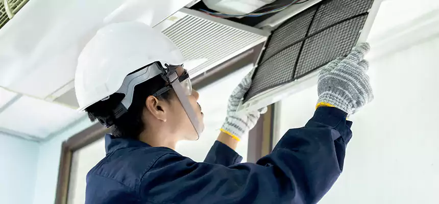 Our Mold & Mildew Removal from Air Ducts Services in Lakeville, MN