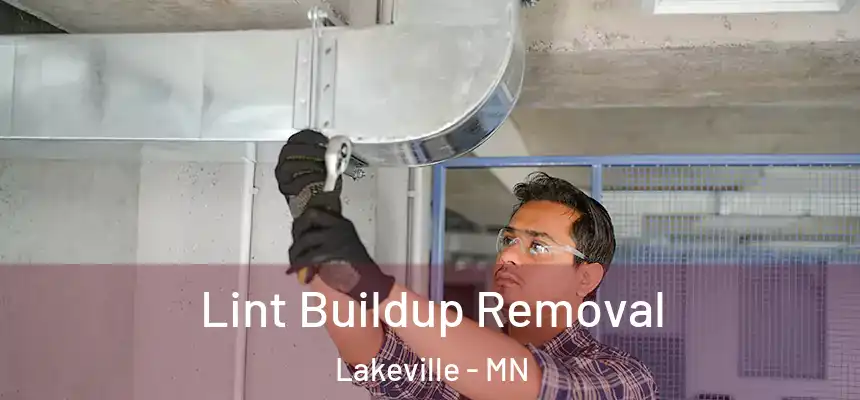  Lint Buildup Removal Lakeville - MN