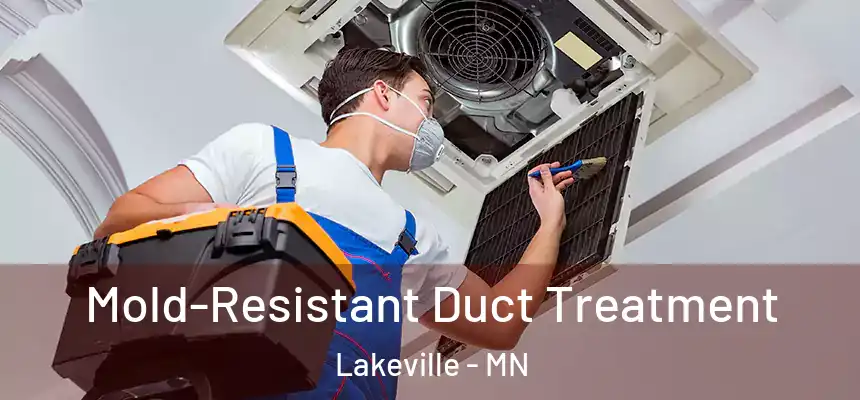 Mold-Resistant Duct Treatment Lakeville - MN