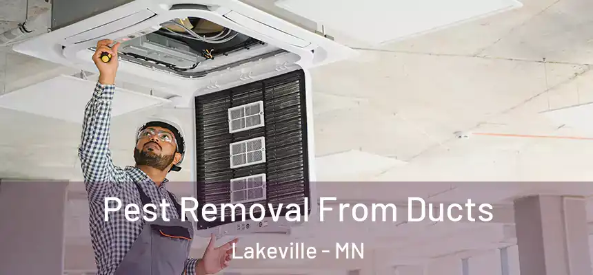 Pest Removal From Ducts Lakeville - MN