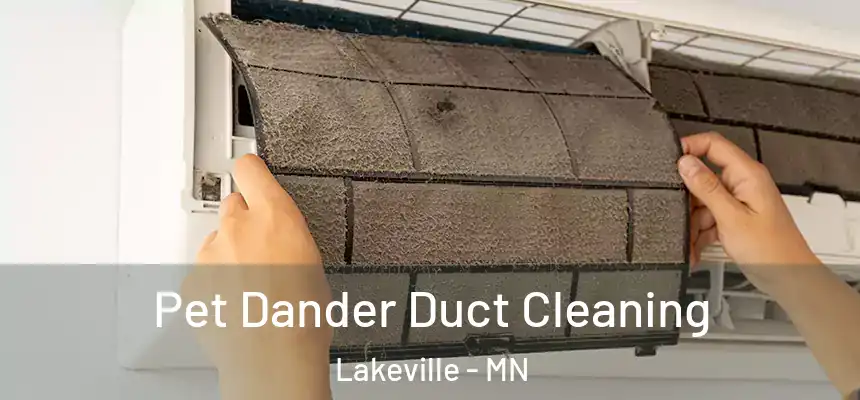 Pet Dander Duct Cleaning Lakeville - MN