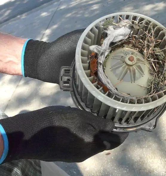 About Air Duct Rat Removal in Lakeville, MN