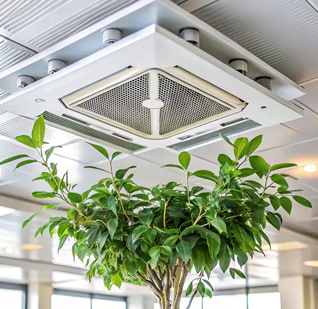 Why Homeowners & Businesses Trust Us in Lakeville, MN